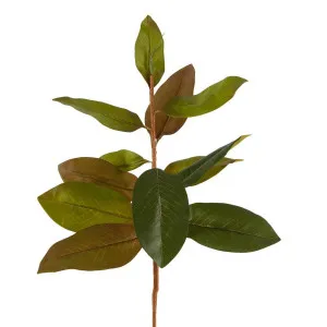 Autumn Magnolia Leaf Spray Stem 70cm by Florabelle Living, a Plants for sale on Style Sourcebook