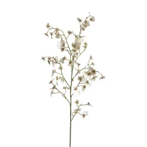 Dancing Orchid 93cm White by Florabelle Living, a Plants for sale on Style Sourcebook