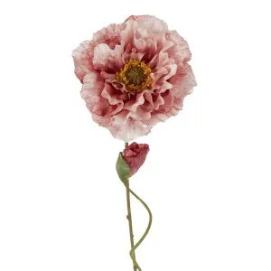 Poppy Stem 75cm Pink by Florabelle Living, a Plants for sale on Style Sourcebook