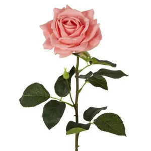 Belle Real Touch Rose Stem 65cm Pink by Florabelle Living, a Plants for sale on Style Sourcebook