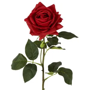 Belle Real Touch Rose Stem 65cm Red by Florabelle Living, a Plants for sale on Style Sourcebook