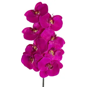 Orchid Phalaenopsis Spray 1m Mauve by Florabelle Living, a Plants for sale on Style Sourcebook