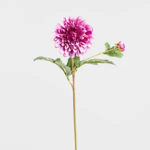 Dahlia Short Stem 50cm Purple by Florabelle Living, a Plants for sale on Style Sourcebook