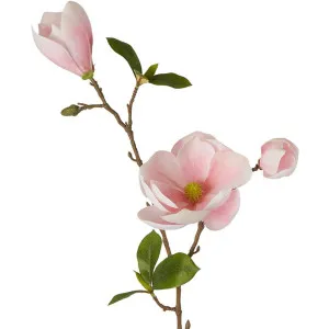 Magnolia Spray 79cm Pink by Florabelle Living, a Plants for sale on Style Sourcebook