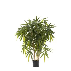 New Bamboo Tree 1m by Florabelle Living, a Plants for sale on Style Sourcebook