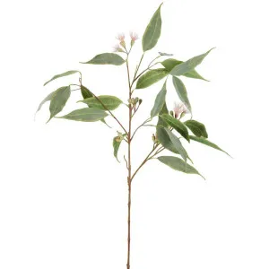 Eucalyptus Flower Spray 92cm Pink & Green by Florabelle Living, a Plants for sale on Style Sourcebook