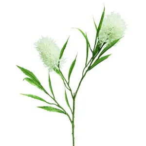 Protea Stem 2 Heads White by Florabelle Living, a Plants for sale on Style Sourcebook