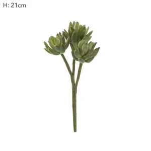 Agave Stem 20cm Green by Florabelle Living, a Plants for sale on Style Sourcebook