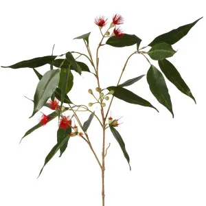 Eucalyptus Flower Spray 92cm Red & Green by Florabelle Living, a Plants for sale on Style Sourcebook