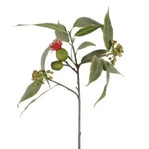 Eucalyptus Flower Spray with 15 Leaves Red by Florabelle Living, a Plants for sale on Style Sourcebook