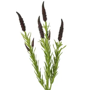 Mint leaf Spray 65cm by Florabelle Living, a Plants for sale on Style Sourcebook