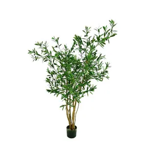 Olive Tree 120cm by Florabelle Living, a Plants for sale on Style Sourcebook