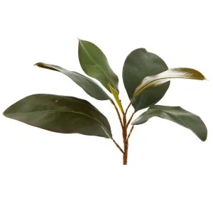 Magnolia Leaf Spray 28cm Green by Florabelle Living, a Plants for sale on Style Sourcebook