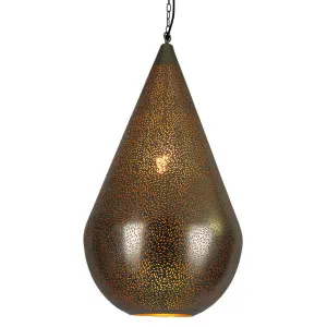 Aquarius Ceiling Pendant Large Nickel by Florabelle Living, a Pendant Lighting for sale on Style Sourcebook