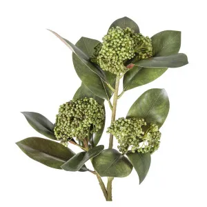Magnolia Berry Spray 80cm Green by Florabelle Living, a Plants for sale on Style Sourcebook