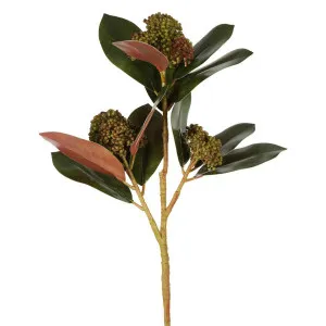 Magnolia Berry Spray 80cm Burgundy by Florabelle Living, a Plants for sale on Style Sourcebook