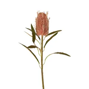 Dried Look Banksia Stem 56cm Dusty Pink by Florabelle Living, a Plants for sale on Style Sourcebook