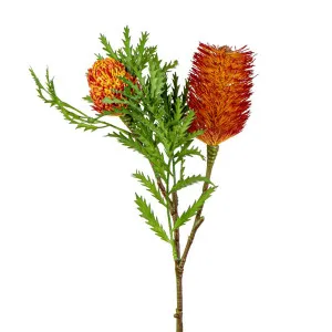 Banksia Spray with Bud & Leaf 80cm Rust by Florabelle Living, a Plants for sale on Style Sourcebook