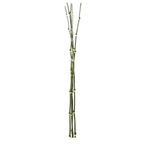 Bamboo Bundle 98cm Green by Florabelle Living, a Plants for sale on Style Sourcebook