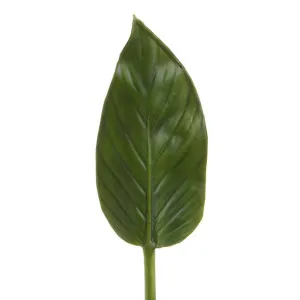 Colocasia Leaf 48cm Green by Florabelle Living, a Plants for sale on Style Sourcebook