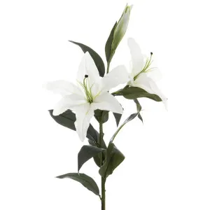 Casablanca Lily 90cm White by Florabelle Living, a Plants for sale on Style Sourcebook