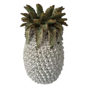 Pineapple Ceramic Vase Green White by Florabelle Living, a Vases & Jars for sale on Style Sourcebook