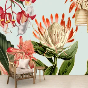 Protea And Co Wallpaper by Florabelle Living, a Artwork & Wall Decor for sale on Style Sourcebook