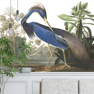Louisiana Heron Wallpaper by Florabelle Living, a Artwork & Wall Decor for sale on Style Sourcebook