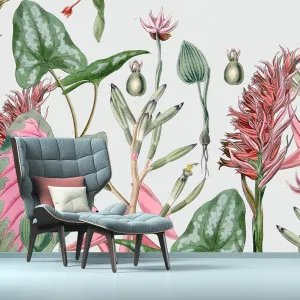 Pinkie Wallpaper by Florabelle Living, a Artwork & Wall Decor for sale on Style Sourcebook