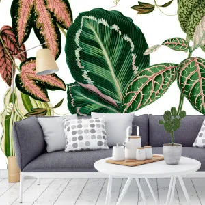 Mensa Wallpaper by Florabelle Living, a Artwork & Wall Decor for sale on Style Sourcebook