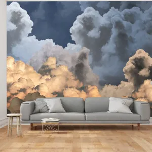Silver Lining Wallpaper by Florabelle Living, a Artwork & Wall Decor for sale on Style Sourcebook