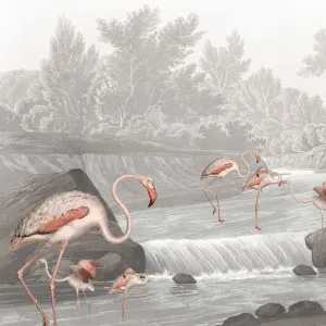 Flamingo Vlei Wallpaper by Florabelle Living, a Artwork & Wall Decor for sale on Style Sourcebook