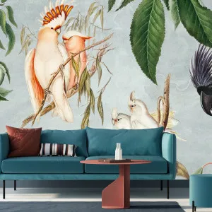 Birds And Fruit Wallpaper by Florabelle Living, a Artwork & Wall Decor for sale on Style Sourcebook