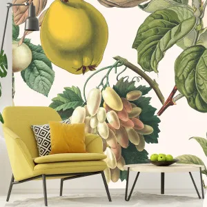 After The Rain Light Wallpaper by Florabelle Living, a Artwork & Wall Decor for sale on Style Sourcebook