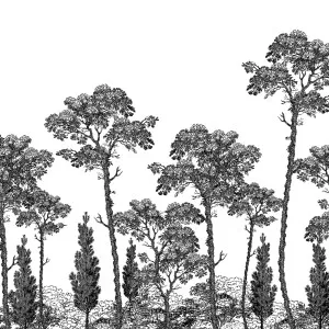 Indigenous Wallpaper by Florabelle Living, a Artwork & Wall Decor for sale on Style Sourcebook