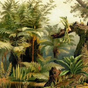 Fantasy Fern Wallpaper by Florabelle Living, a Artwork & Wall Decor for sale on Style Sourcebook