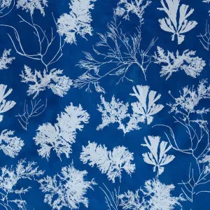 Cyanotype Wallpaper by Florabelle Living, a Artwork & Wall Decor for sale on Style Sourcebook