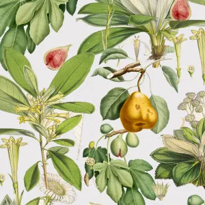 Adams Fault Wallpaper by Florabelle Living, a Artwork & Wall Decor for sale on Style Sourcebook