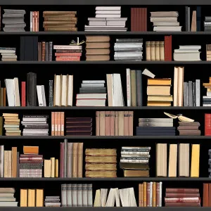 Biblio Teek Wallpaper by Florabelle Living, a Artwork & Wall Decor for sale on Style Sourcebook