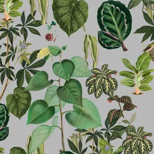 Botany Class Wallpaper by Florabelle Living, a Artwork & Wall Decor for sale on Style Sourcebook