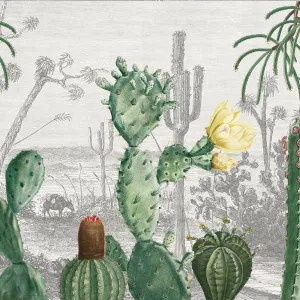 Cactus Heaven Wallpaper by Florabelle Living, a Artwork & Wall Decor for sale on Style Sourcebook