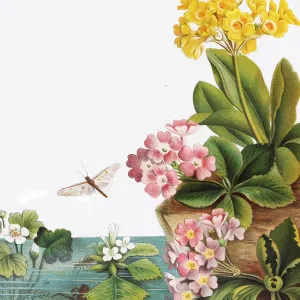 Dragonflies Whizz By Wallpaper by Florabelle Living, a Artwork & Wall Decor for sale on Style Sourcebook