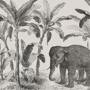 Elephant lsland Wallpaper by Florabelle Living, a Artwork & Wall Decor for sale on Style Sourcebook