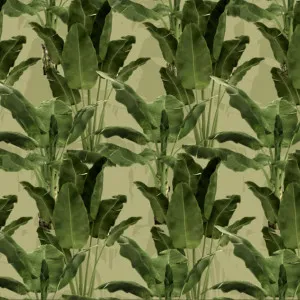 Eloping Wallpaper by Florabelle Living, a Artwork & Wall Decor for sale on Style Sourcebook
