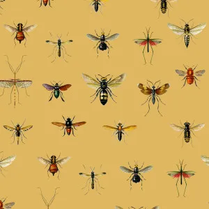 Entomology Wallpaper by Florabelle Living, a Artwork & Wall Decor for sale on Style Sourcebook