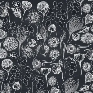 Future Facts Wallpaper by Florabelle Living, a Artwork & Wall Decor for sale on Style Sourcebook