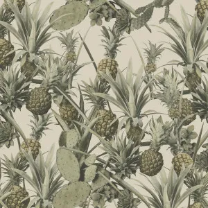 Pineapple Cactus Wallpaper by Florabelle Living, a Artwork & Wall Decor for sale on Style Sourcebook