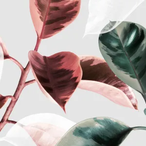 Pot Plant Wallpaper by Florabelle Living, a Artwork & Wall Decor for sale on Style Sourcebook