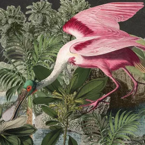 Roseate Spoonbill Wallpaper by Florabelle Living, a Artwork & Wall Decor for sale on Style Sourcebook
