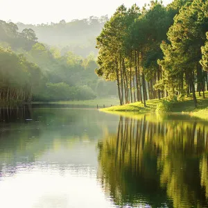 Serenity Edge Wallpaper by Florabelle Living, a Artwork & Wall Decor for sale on Style Sourcebook